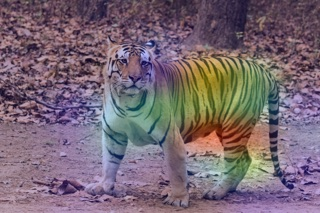 <PIL.Image.Image image mode=RGB size=320x213>