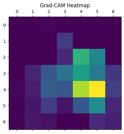 <Figure size 480x480 with 1 Axes>