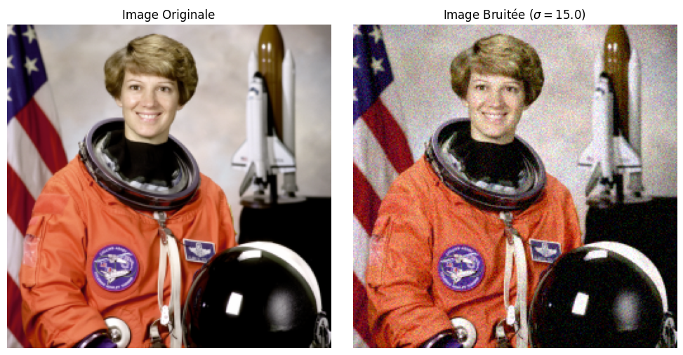 <Figure size 1000x500 with 2 Axes>